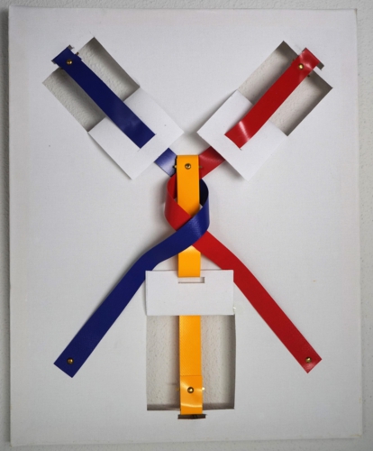 Jan Pleijte insect (40x50 cm)